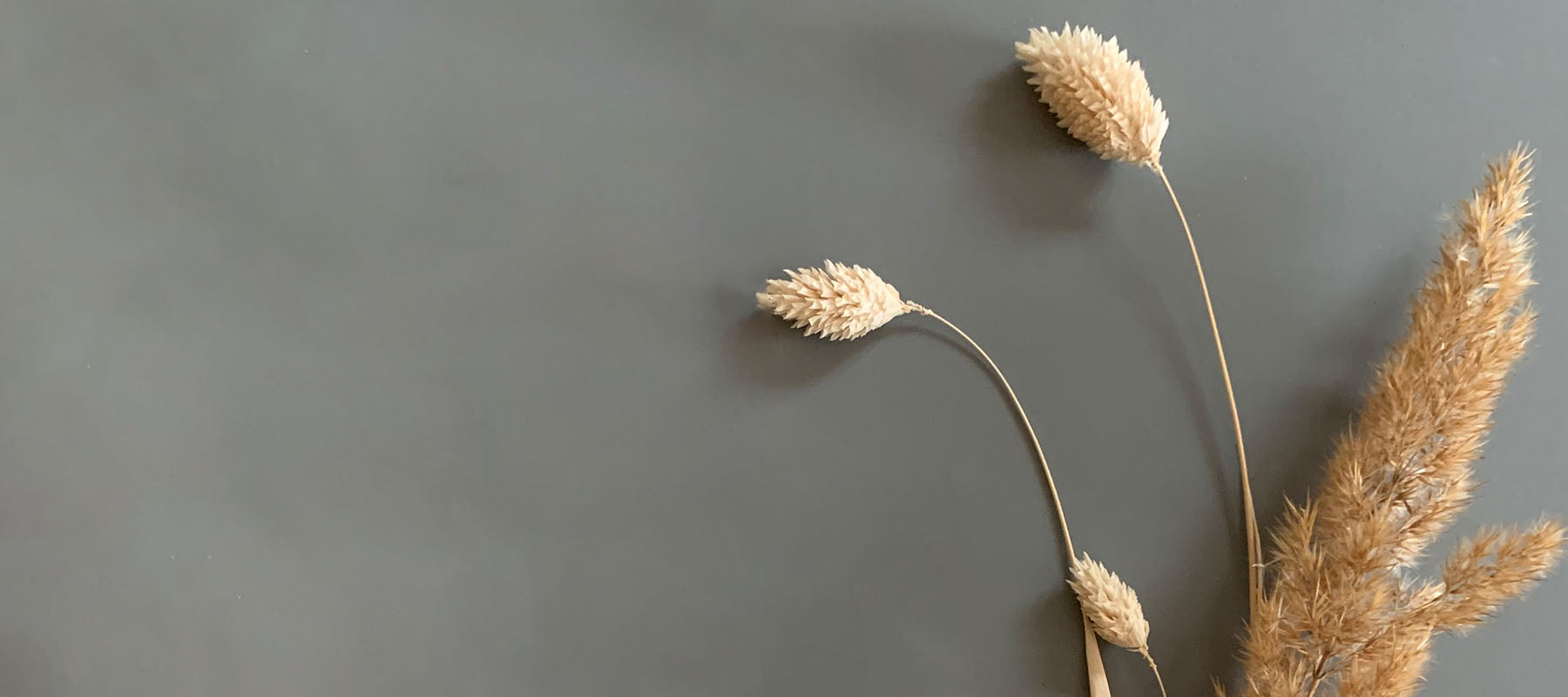 Lieblingsprodukte von Jan Sundhoff und unseren KIND DER STADT Läden