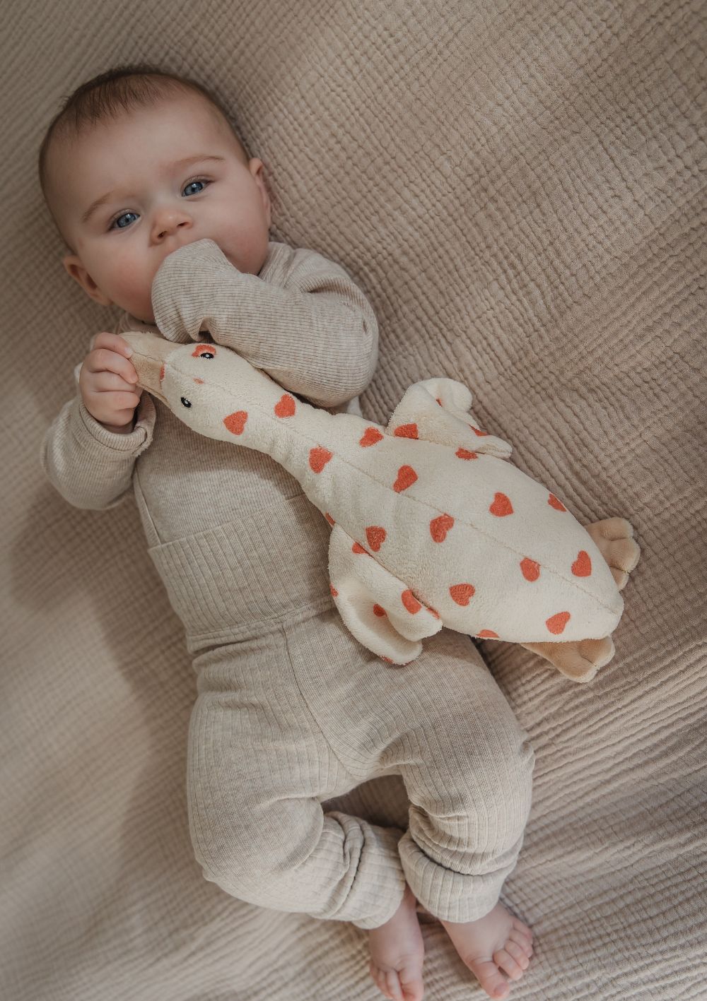 flow AMSTERDAM Kuscheltier mit Spieluhr 'Liva' Beige Hearts