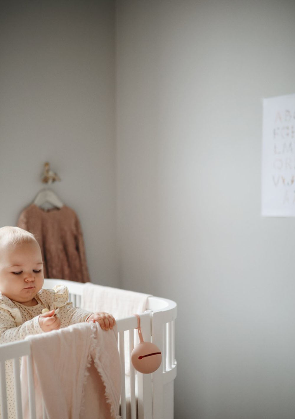 Schnuller Aufbewahrungsbox Cloudy Mauve