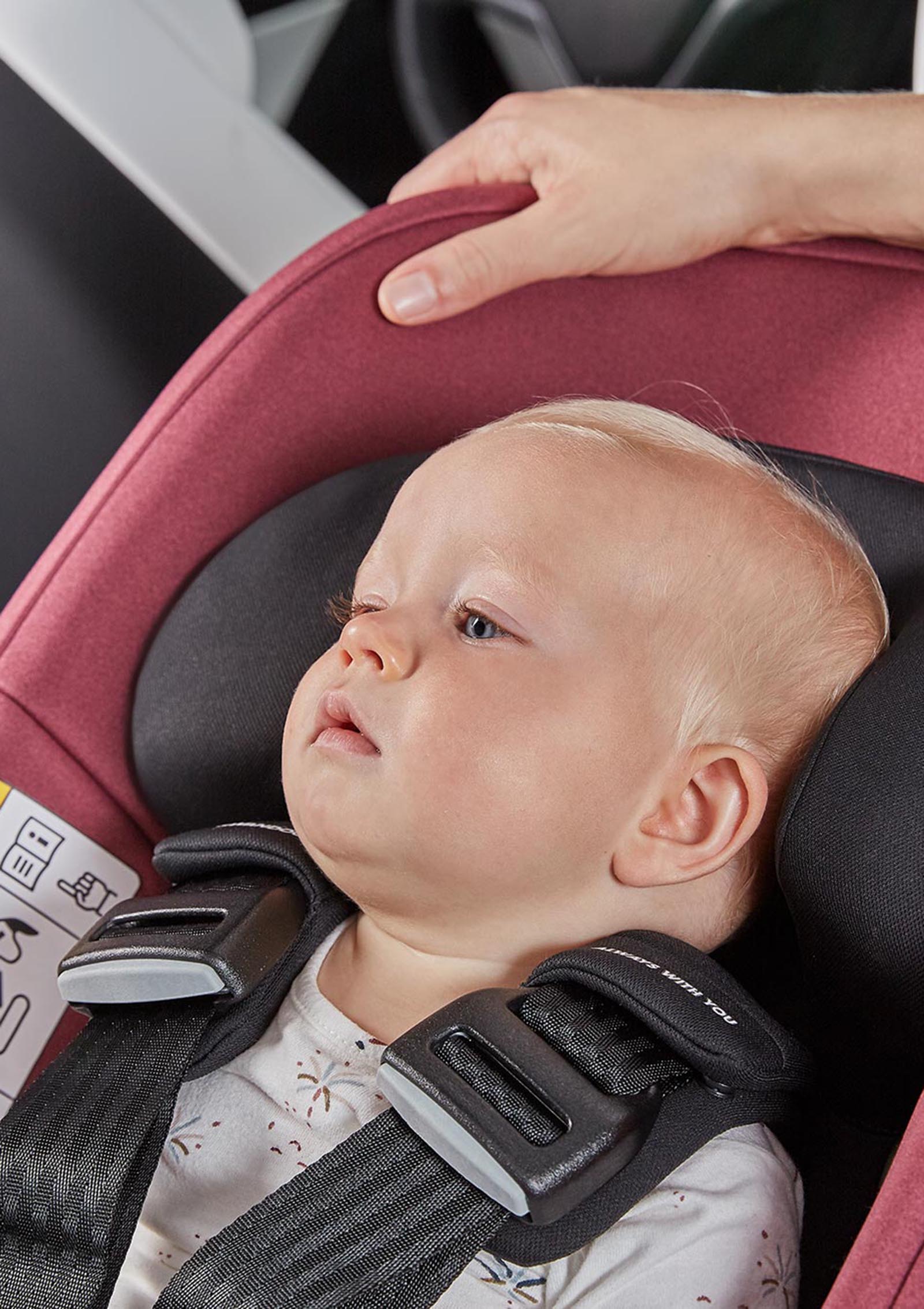 Babyschale Albert i-Size Forest Fruits